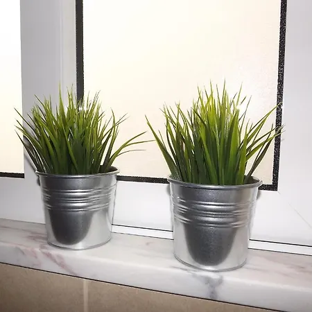 Entrecubos Gasthuis 4*