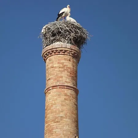 Entrecubos Πανσιόν *