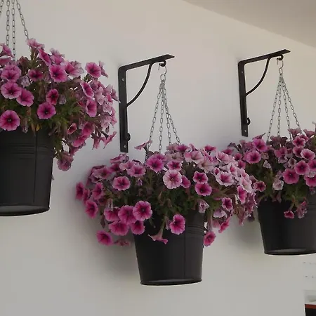 Entrecubos 4* Olhão